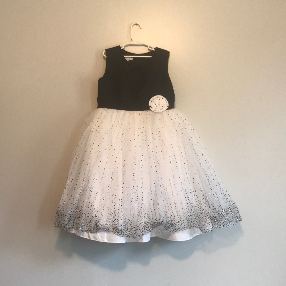 Fancy dress full skirt
